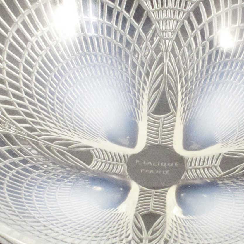 Ceramics & Glassware